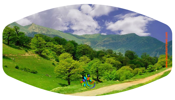 جنگل ابر شاهرود  جنگل ابر در استان سمنان و در مسیر جاده شاهرود به آزادشهر استان گلستان و بعد از روستای ابر در شمال شهر شاهرود قرار گرفته است.