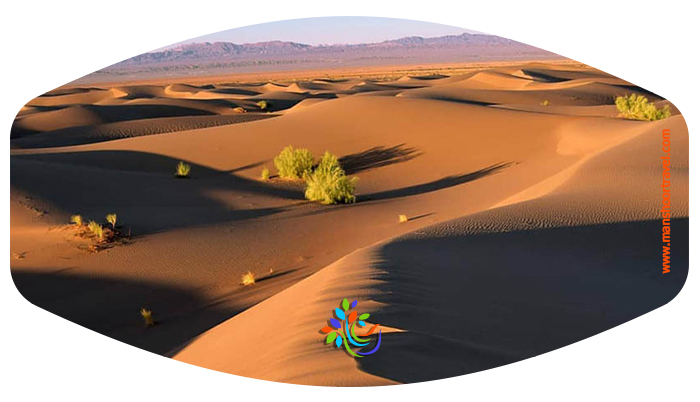 کویر کاراکال منطقه‌ای در نزدیکی شهر بافق و روستای صادق آباد است که برخی آن را زیباترین کویر یزد می‌دانند. این کویر یکی از شناخته‌شده‌ترین زیستگاه‌های کاراکال، یکی از گربه‌سانان ایران است و به همین دلیل با این نام خوانده می‌شود.