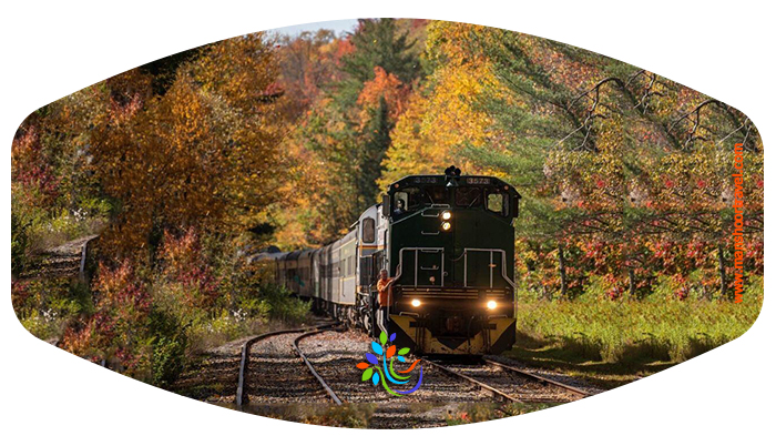 اولین و لوکس‌ترین قطار دو تخته ویژه بانوان | تجربه‌ای متفاوت از سفر ریلی