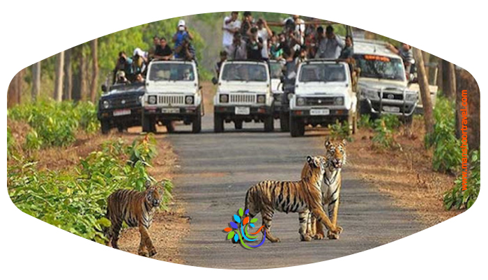 پارک ملی رانتامبور