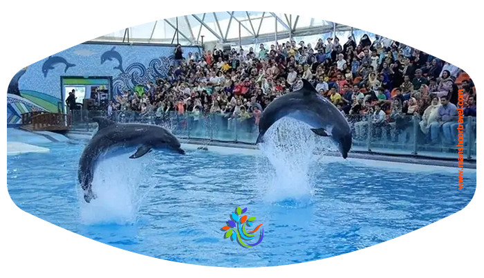 کیش نوروز 1405